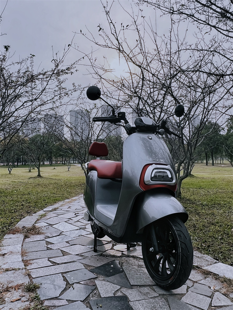 How to Choose the Best Electric Scooter？