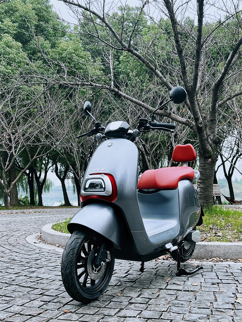 How to Choose the Best Electric Scooter？